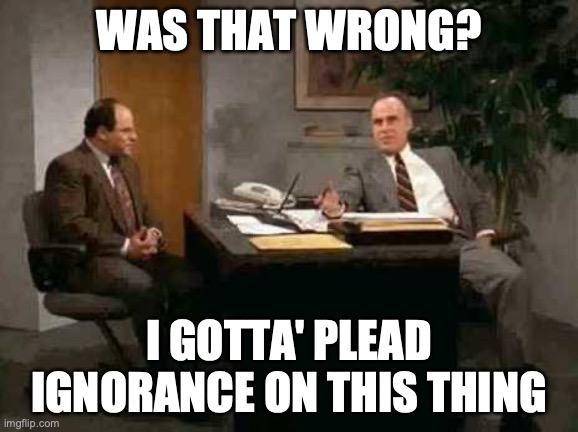 George Costanza "Was that wrong?" | WAS THAT WRONG? I GOTTA' PLEAD IGNORANCE ON THIS THING | image tagged in seinfeld | made w/ Imgflip meme maker