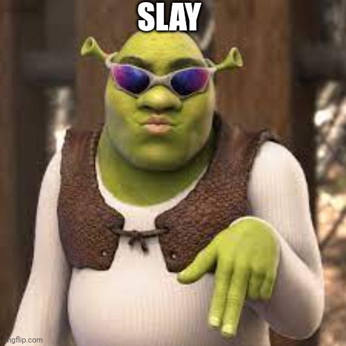 SLAY ALL DAY | SLAY | image tagged in slay all day | made w/ Imgflip meme maker