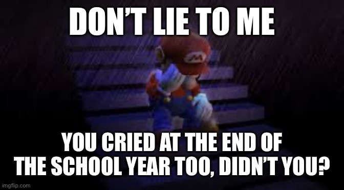 Ultra relatable | DON’T LIE TO ME; YOU CRIED AT THE END OF THE SCHOOL YEAR TOO, DIDN’T YOU? | image tagged in sad mario,relatable,school,sad,sad but true,you have been eternally cursed for reading the tags | made w/ Imgflip meme maker