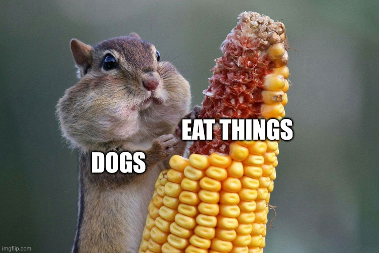 They just seem to eat everything, don't they? | EAT THINGS; DOGS | image tagged in chipmunk feast | made w/ Imgflip meme maker