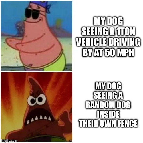 Am I wrong? | MY DOG SEEING A 1TON VEHICLE DRIVING BY AT 50 MPH; MY DOG SEEING A RANDOM DOG INSIDE THEIR OWN FENCE | image tagged in patrick blind and angry | made w/ Imgflip meme maker