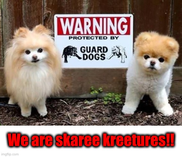 Rawr! | We are skaree kreetures!! | image tagged in memes,funny,dogs | made w/ Imgflip meme maker