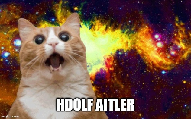 Mind Blown cat | HDOLF AITLER | image tagged in mind blown cat | made w/ Imgflip meme maker