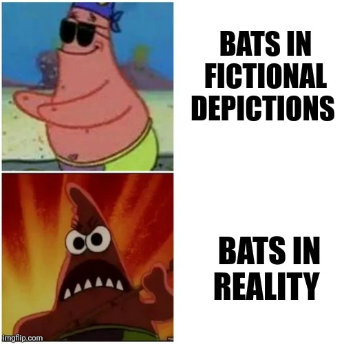 How bats are, in real life | BATS IN FICTIONAL DEPICTIONS; BATS IN REALITY | image tagged in patrick blind and angry | made w/ Imgflip meme maker