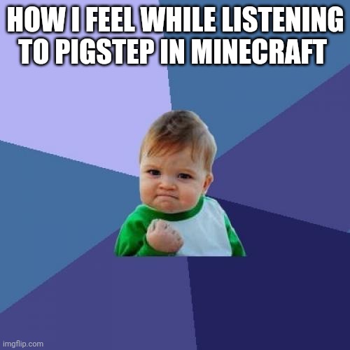 Success Kid Meme | HOW I FEEL WHILE LISTENING TO PIGSTEP IN MINECRAFT | image tagged in memes,success kid | made w/ Imgflip meme maker