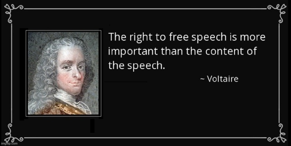 Dear Libs, Government wants to take away your rights, too! | image tagged in vince vance,voltaire,freedom of speech,memes,philosophers,human rights | made w/ Imgflip meme maker