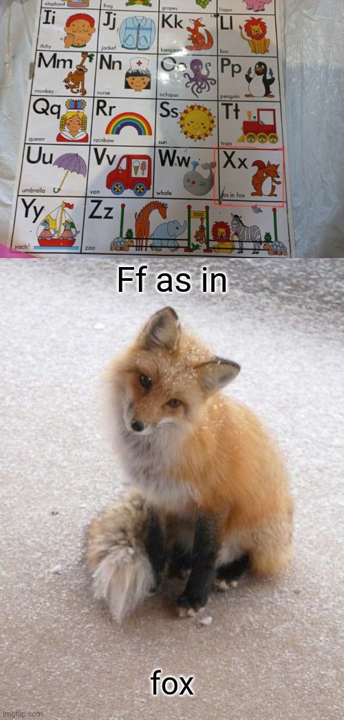 *Ff as in fox | Ff as in; fox | image tagged in fox,f,you had one job,letters,memes,foxes | made w/ Imgflip meme maker