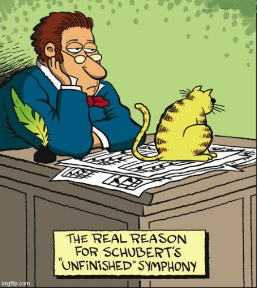 Schubert's classical cat | image tagged in memes,cats,schubert,fun | made w/ Imgflip meme maker