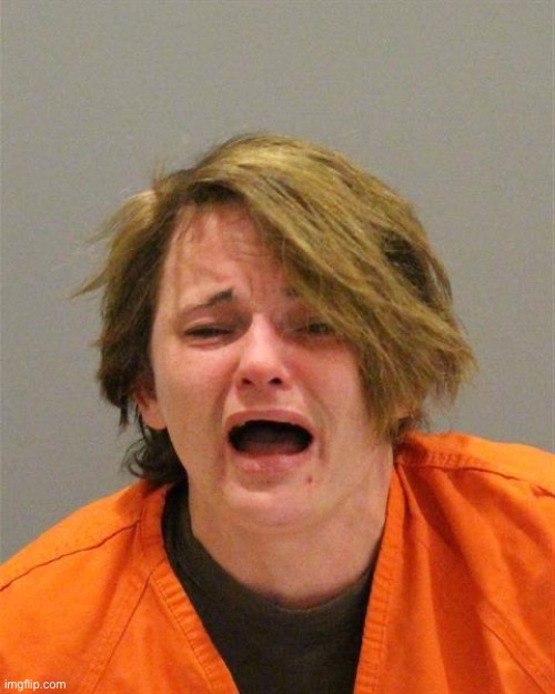 Arrested Snowflake | image tagged in arrested snowflake | made w/ Imgflip meme maker