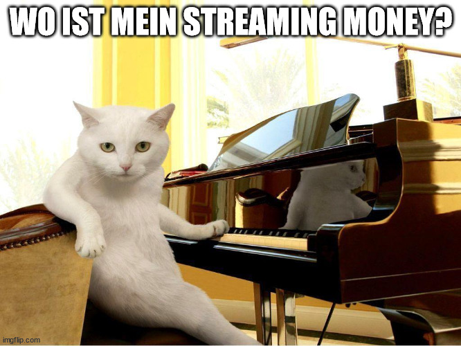 Das Bild zeigt ein Meme. Auf dem Foto sitzt eine weiße Katze vor einem Klavier. Darüber steht eine Schriftzug „Wo ist meine Streaming Money“. Das Meme stellt dabei eine humoristische Anspielung auf Fake Profile auf Spotify. 