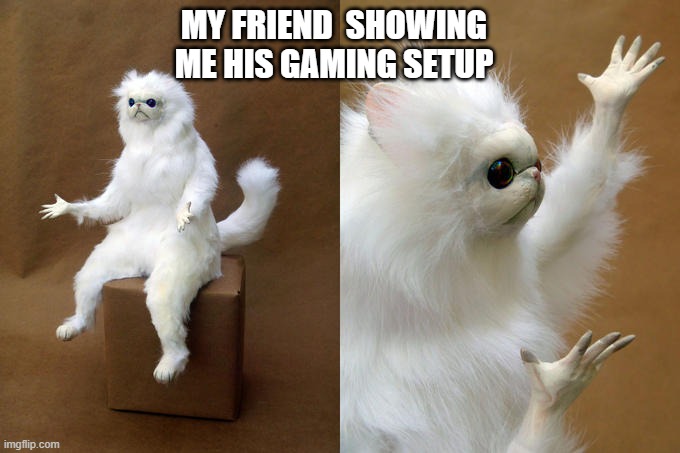 My friends gaming setup | MY FRIEND  SHOWING ME HIS GAMING SETUP | image tagged in memes,persian cat room guardian | made w/ Imgflip meme maker