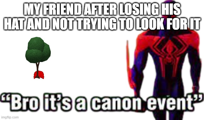 BRO ITS A CANON EVENT | MY FRIEND AFTER LOSING HIS HAT AND NOT TRYING TO LOOK FOR IT | image tagged in bro it s a canon event | made w/ Imgflip meme maker