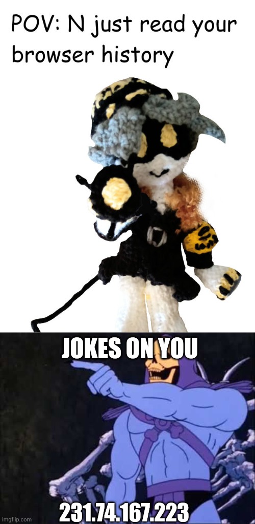 JOKES ON YOU; 231.74.167.223 | image tagged in skeletor | made w/ Imgflip meme maker