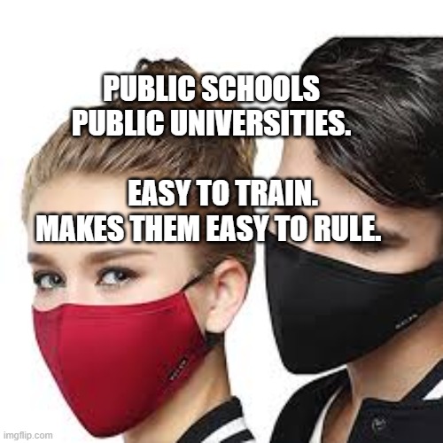 Mask Couple | PUBLIC SCHOOLS PUBLIC UNIVERSITIES.                        EASY TO TRAIN. MAKES THEM EASY TO RULE. | image tagged in mask couple | made w/ Imgflip meme maker