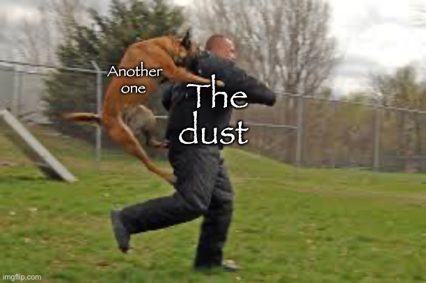 Hehehehhaw | Another one; The dust | image tagged in dog attack,another one bites the dust,funny,fun,memes,balls | made w/ Imgflip meme maker
