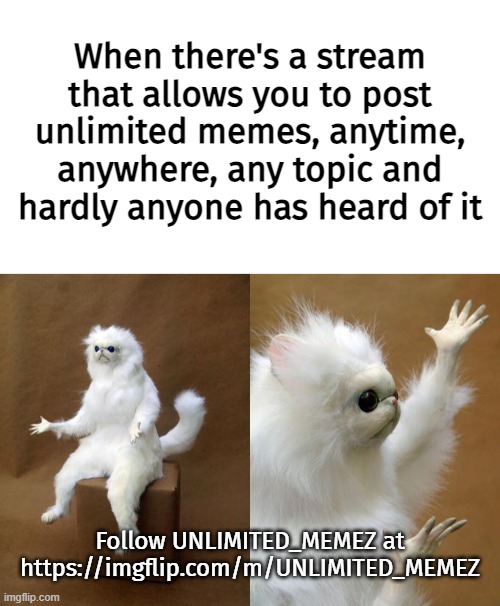 https://imgflip.com/m/UNLIMITED_MEMEZ | When there's a stream that allows you to post unlimited memes, anytime, anywhere, any topic and hardly anyone has heard of it; Follow UNLIMITED_MEMEZ at https://imgflip.com/m/UNLIMITED_MEMEZ | image tagged in blank white template,memes,persian cat room guardian | made w/ Imgflip meme maker