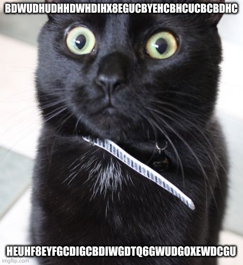 Woah Kitty Meme | BDWUDHUDHHDWHDIHX8EGUCBYEHCBHCUCBCBDHC HEUHF8EYFGCDIGCBDIWGDTQ6GWUDGOXEWDCGU | image tagged in memes,woah kitty | made w/ Imgflip meme maker