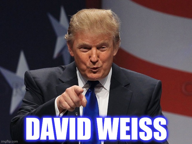 Donald trump | DAVID WEISS | image tagged in donald trump | made w/ Imgflip meme maker