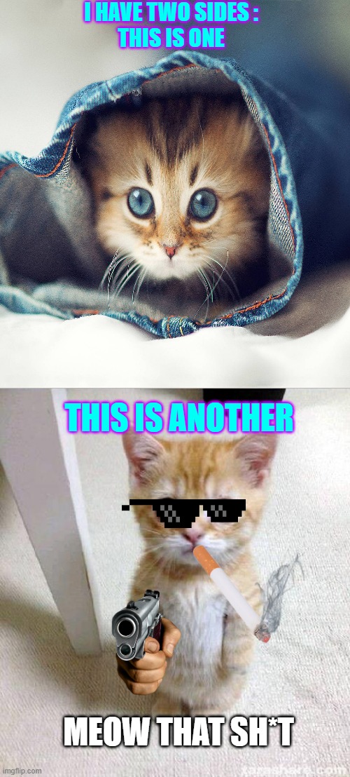 my two phases | I HAVE TWO SIDES :
THIS IS ONE; THIS IS ANOTHER; MEOW THAT SH*T | image tagged in memes,cute cat,funny | made w/ Imgflip meme maker