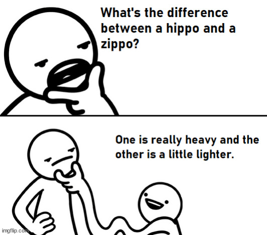 Some difference | image tagged in questions,funny,asdf,zippo,germany,hippo | made w/ Imgflip meme maker