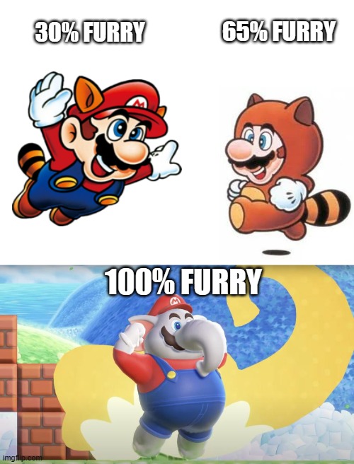 no more fur affinity please | 65% FURRY; 30% FURRY; 100% FURRY | image tagged in blank white template,elephant,mario,super mario bros,nintendo,nintendo switch | made w/ Imgflip meme maker