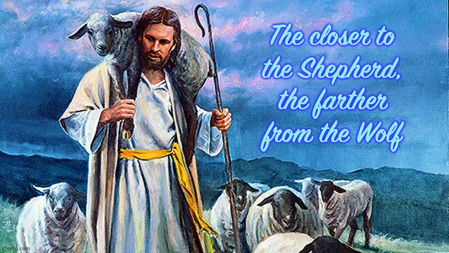 Sheep | The closer to
the Shepherd, the farther from the Wolf | image tagged in memes,creator,shepherd | made w/ Imgflip meme maker