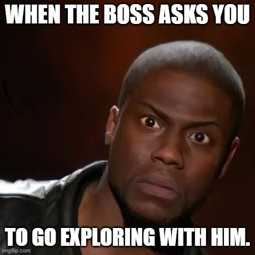 Boss wants to go exploring. | WHEN THE BOSS ASKS YOU; TO GO EXPLORING WITH HIM. | image tagged in kevin hart,surprise,boss,explore,danger | made w/ Imgflip meme maker