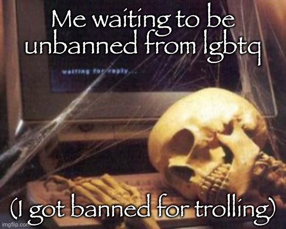 skeleton computer | Me waiting to be unbanned from lgbtq; (I got banned for trolling) | image tagged in skeleton computer | made w/ Imgflip meme maker