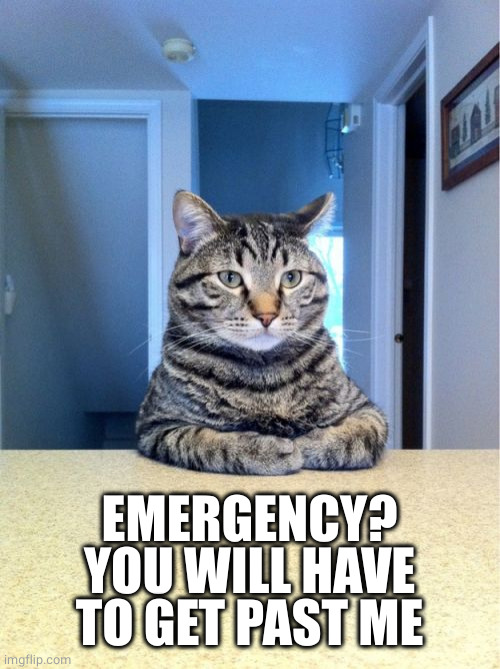 Take A Seat Cat Meme | EMERGENCY?
YOU WILL HAVE TO GET PAST ME | image tagged in memes,take a seat cat | made w/ Imgflip meme maker