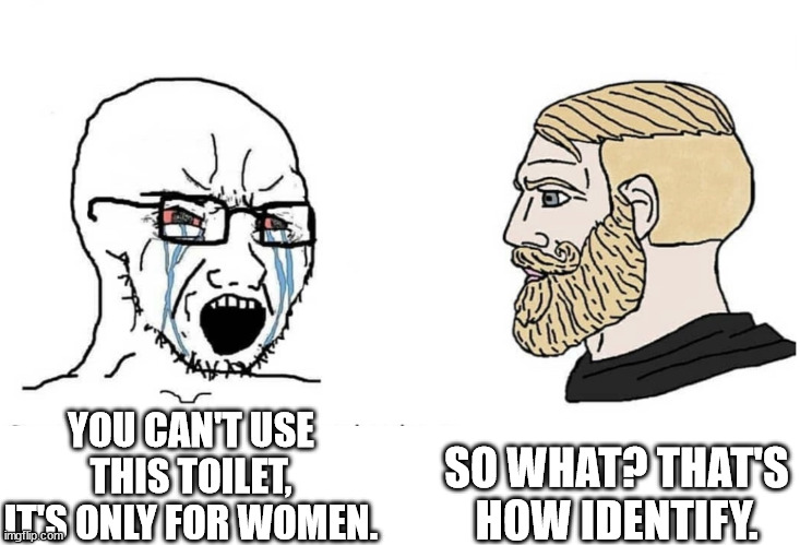 TERFS BE LIKE | SO WHAT? THAT'S HOW IDENTIFY. YOU CAN'T USE THIS TOILET, IT'S ONLY FOR WOMEN. | image tagged in soyboy vs yes chad | made w/ Imgflip meme maker