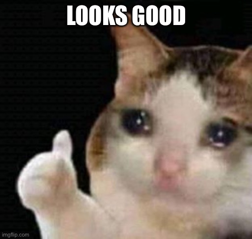 sad thumbs up cat | LOOKS GOOD | image tagged in sad thumbs up cat | made w/ Imgflip meme maker