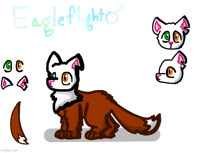 New OC: Eagleflight!!! | image tagged in warrior cats,drawings,oc | made w/ Imgflip meme maker