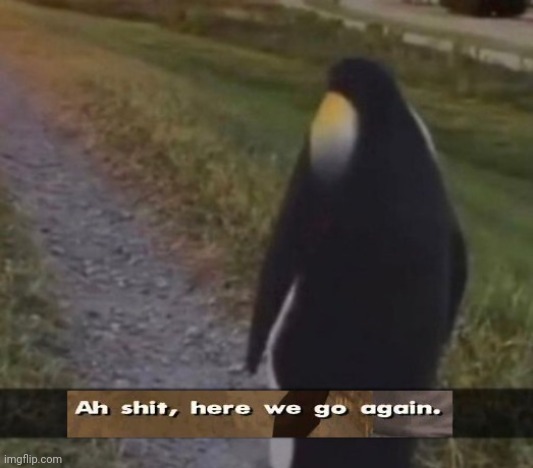 Ah sh*t here we go again but with a penguin | image tagged in ah sh t here we go again but with a penguin | made w/ Imgflip meme maker