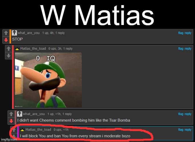 W Matias | image tagged in w | made w/ Imgflip meme maker