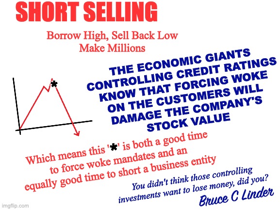 Short Selling and DEI | SHORT SELLING; Borrow High, Sell Back Low
Make Millions; THE ECONOMIC GIANTS
CONTROLLING CREDIT RATINGS
KNOW THAT FORCING WOKE
ON THE CUSTOMERS WILL
DAMAGE THE COMPANY'S
STOCK VALUE; *; *; Which means this '   ' is both a good time
to force woke mandates and an
equally good time to short a business entity; You didn't think those controlling investments want to lose money, did you? Bruce C Linder | image tagged in blackrock,vanguard,short selling,dei,economic suicide,go woke go broke | made w/ Imgflip meme maker