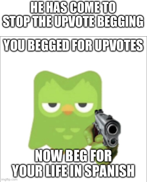 New temp for upvote beggars | HE HAS COME TO STOP THE UPVOTE BEGGING | image tagged in you begged for upvotes,duolingo,oh wow are you actually reading these tags | made w/ Imgflip meme maker