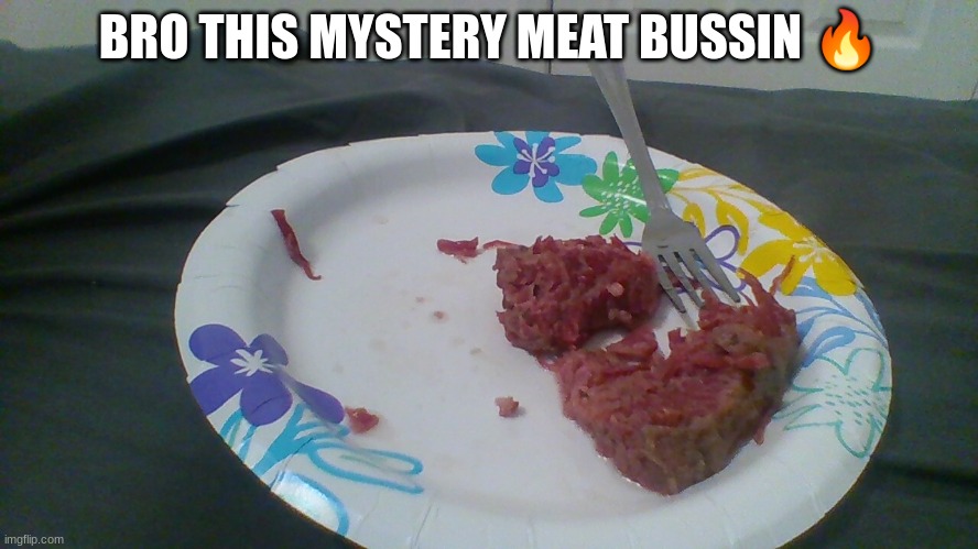 Mystery Meat | BRO THIS MYSTERY MEAT BUSSIN 🔥 | image tagged in mystery meat | made w/ Imgflip meme maker