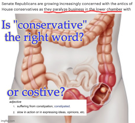 Still ruminating on the news from earlier this month | Is "conservative" the right word? or costive? | image tagged in intestinal blockage,politics,conservative,gop,congress | made w/ Imgflip meme maker