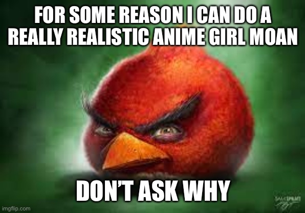 Realistic Red Angry Birds | FOR SOME REASON I CAN DO A REALLY REALISTIC ANIME GIRL MOAN; DON’T ASK WHY | image tagged in realistic red angry birds | made w/ Imgflip meme maker