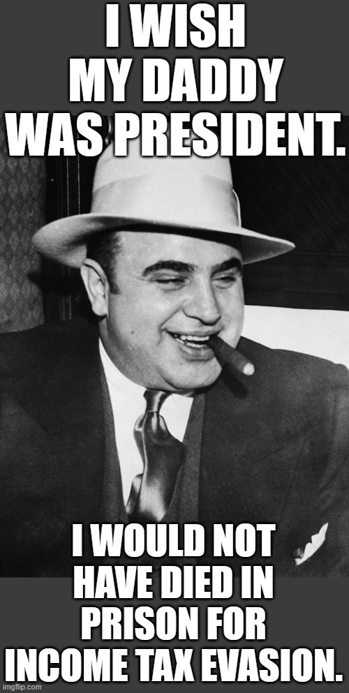Just the facts | I WISH MY DADDY WAS PRESIDENT. I WOULD NOT HAVE DIED IN PRISON FOR INCOME TAX EVASION. | image tagged in al capone,hunter biden,joe biden | made w/ Imgflip meme maker
