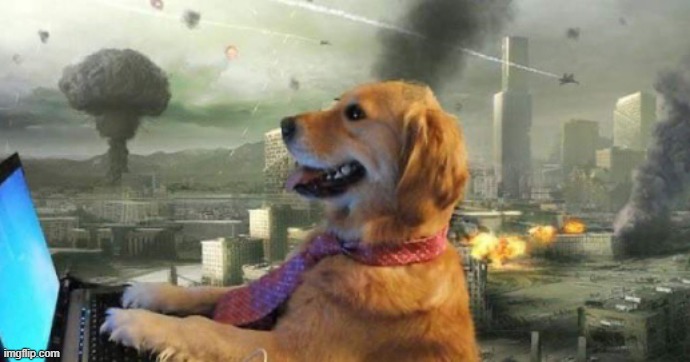 Me on imgflip during 2020: | image tagged in dog on computer while world is being destroyed | made w/ Imgflip meme maker