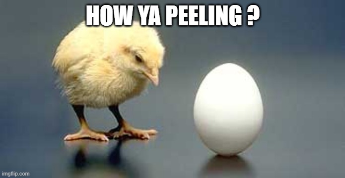 Chicken and Egg | HOW YA PEELING ? | image tagged in chicken and egg | made w/ Imgflip meme maker