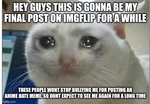 I'm sorry guys, but im gonna have to leave :( | HEY GUYS THIS IS GONNA BE MY FINAL POST ON IMGFLIP FOR A WHILE; THESE PEOPLE WONT STOP BULLYING ME FOR POSTING AN ANIME HATE MEME, SO DONT EXPECT TO SEE ME AGAIN FOR A LONG TIME | image tagged in crying cat,sad,final post | made w/ Imgflip meme maker