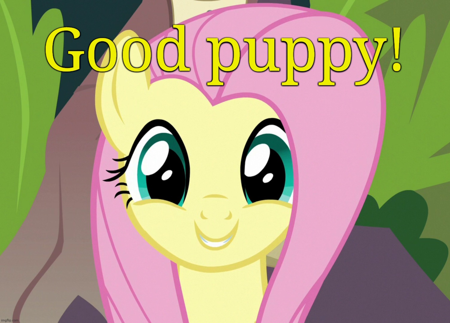 Shyabetes 2 (MLP) | Good puppy! | image tagged in shyabetes 2 mlp | made w/ Imgflip meme maker