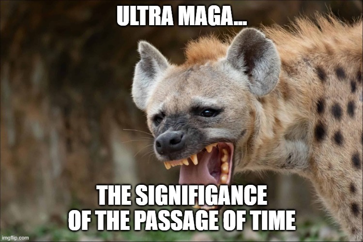 Hyena | ULTRA MAGA... THE SIGNIFIGANCE OF THE PASSAGE OF TIME | image tagged in hyena | made w/ Imgflip meme maker