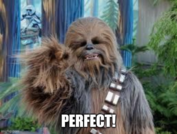 Chewbacca laughing | PERFECT! | image tagged in chewbacca laughing | made w/ Imgflip meme maker