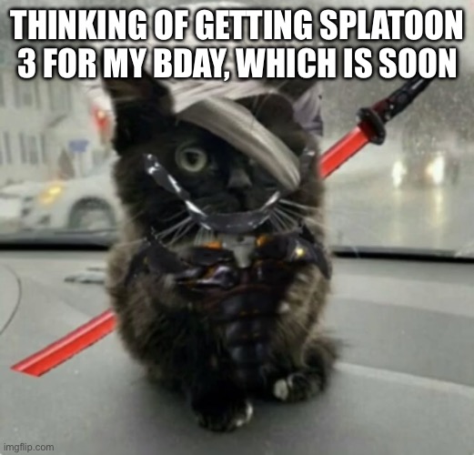 Doktor, Turn Off My Cute Inhibitors! | THINKING OF GETTING SPLATOON 3 FOR MY BDAY, WHICH IS SOON | image tagged in raiden cat | made w/ Imgflip meme maker