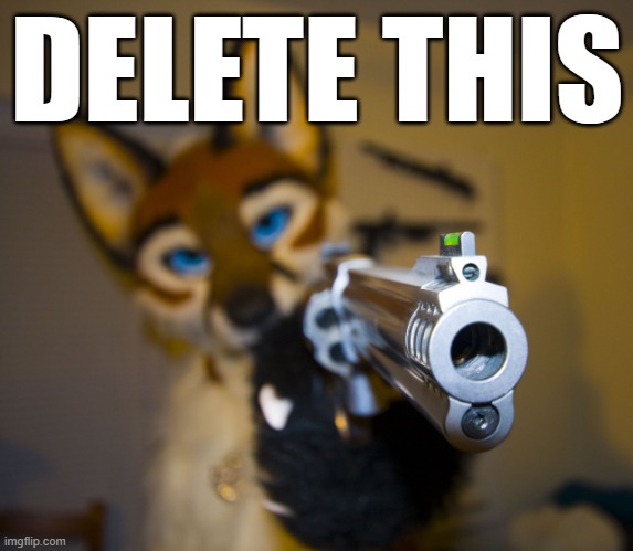 Furry with gun | DELETE THIS | image tagged in furry with gun | made w/ Imgflip meme maker
