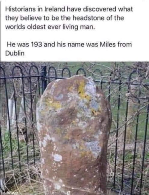 Irish | image tagged in irish,miles,dublin | made w/ Imgflip meme maker