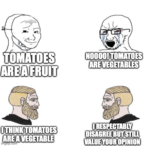 Why do people have arguments as useless as these??? | TOMATOES ARE A FRUIT; NOOOO! TOMATOES ARE VEGETABLES; I RESPECTABLY DISAGREE BUT STILL VALUE YOUR OPINION; I THINK TOMATOES ARE A VEGETABLE | image tagged in chad we know,tomatoes | made w/ Imgflip meme maker